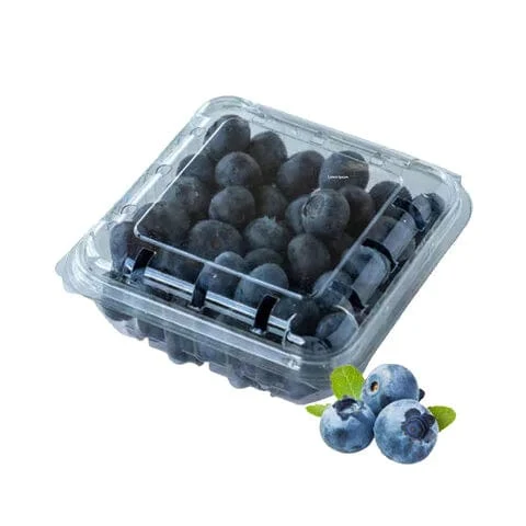 Fresh Blueberries