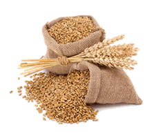 Grains