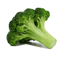 Broccoli