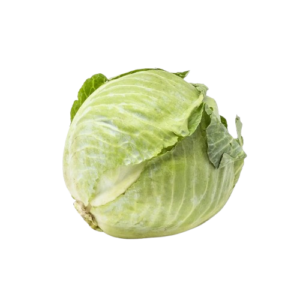 Green Cabbage