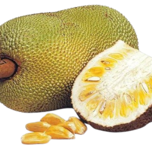 Jackfruit