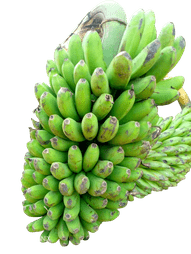 Matooke