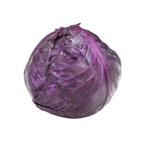 Purple Cabbage