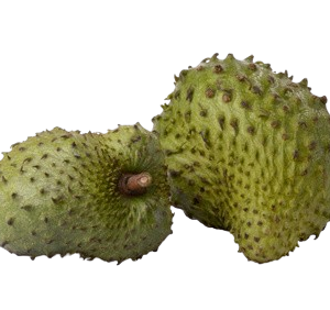 Soursop