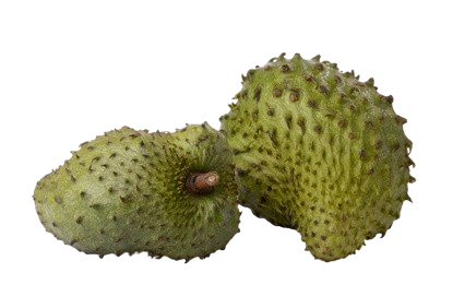 Soursop