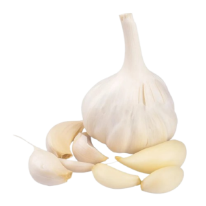 Garlic
