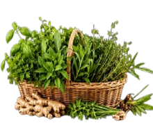 Herbs