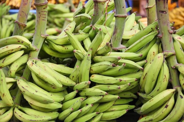 Plantain (Gonja)